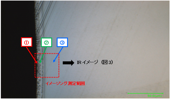 図1:ナイロン加熱処理品(断面)の画像