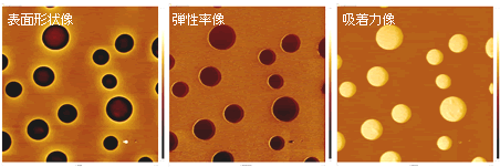 機械特性イメージング