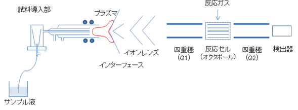 図1:装置構成図