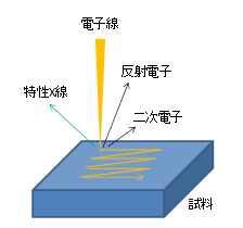 装置概略図