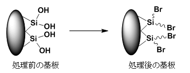 図1:反応の模式図