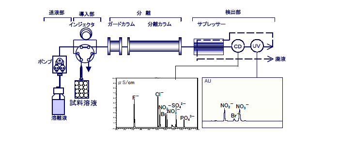 図:陰イオン分析システム図