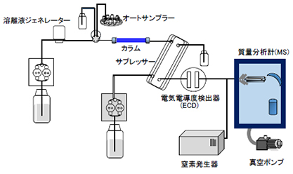 図2:装置概略図