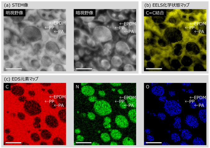 F|}[AC(EPDM / PP / PA)  (a) STEM (쑜, Î쑜) ,(b) EELSwԃ}bv (C=C), (c) EDSf}bv (C, N, O), XP[o[1}CN[g