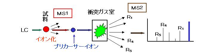 図1:MS/MS測定の模式図