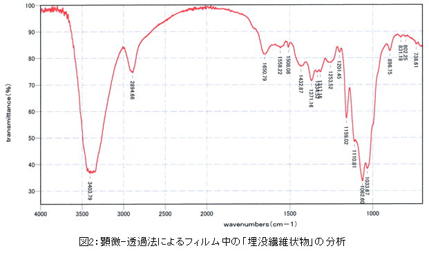 図2:顕微-透過法によるフィルム中の「埋没繊維状物」の分析