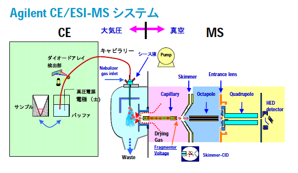 図:Aglient CE/ESI-MSシステム