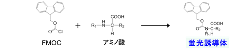 図2:二級アミノ酸の誘導体化