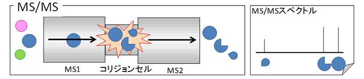 図1:MS/MS測定のしくみ
