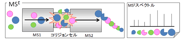 図2:MSEのしくみ