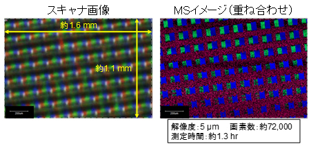 図2:カラーフィルターのスキャナ画像(左)およびMSイメージ(LDI、重ね合わせ)(右)