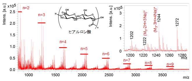 図1:ヒアルロン酸のマススペクトル(挿入:m/z1,190〜1,290付近の拡大)