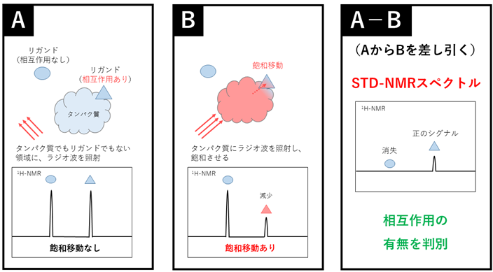 }FSTD-NMR@̌iC[Wj
