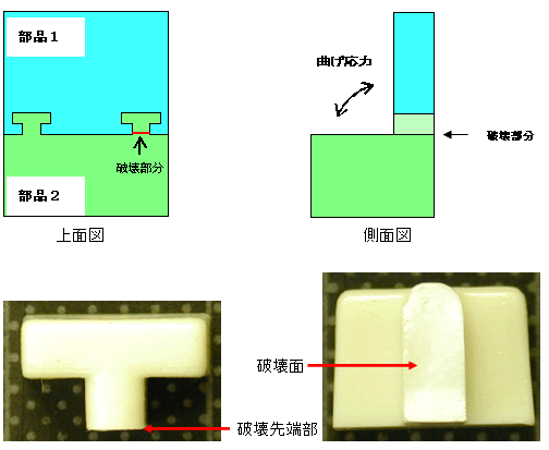 図1:OM写真