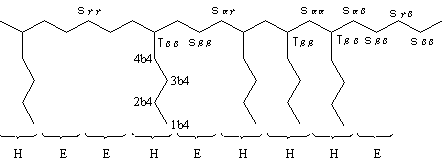 図1:モノマーシーケンス(エチレン:E-ヘキセン:H)