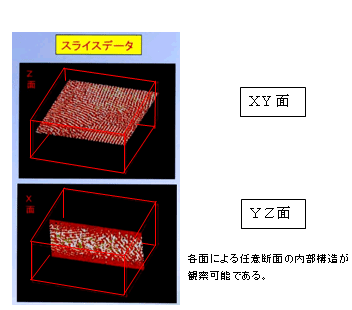 ʐ^4FXCXiCӒfʑj