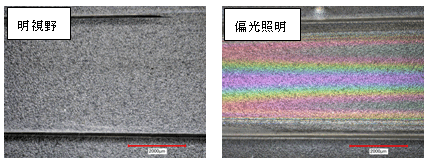 図2:偏光照明像