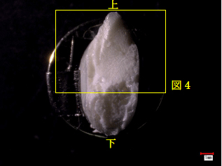 }3Fjf(j)̃}CNXR[vʐ^