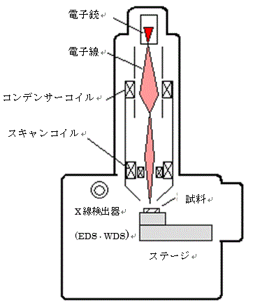図:装置の構成
