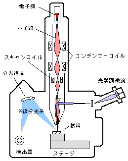 EPMA装置の概略図