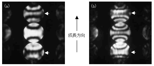 図1:CBED像