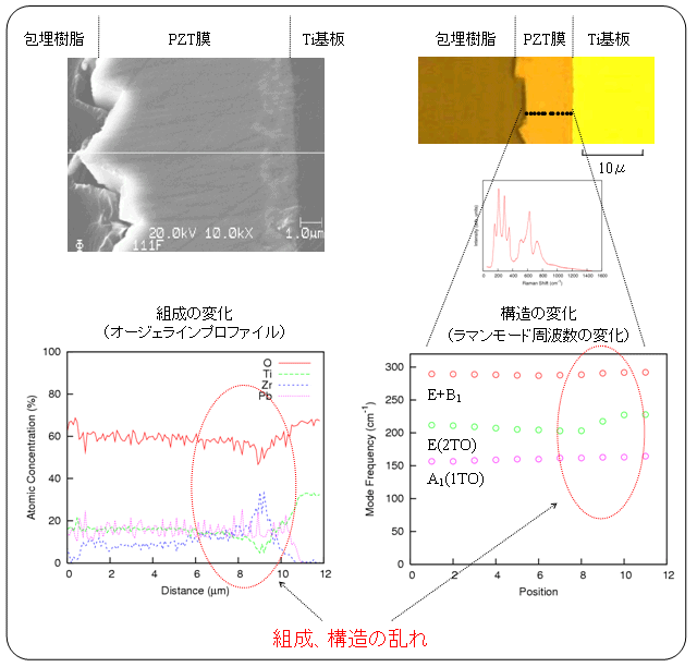 図1:水熱合成法により成膜したPb(Zr、Ti)O3膜のオージェ電子分光およびラマン分光分析