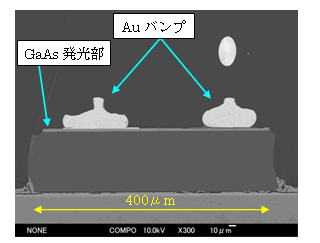写真2：発光部断面SEM像
