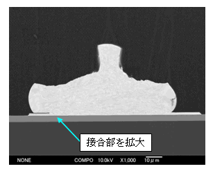 写真3：Auバンプ