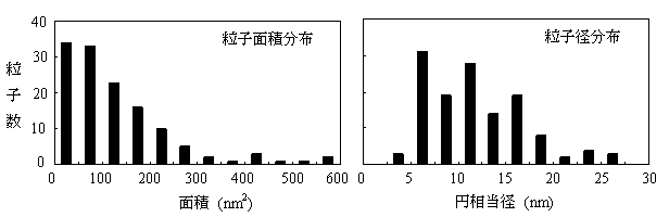 図2:粒子解析結果