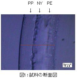 図1:試料の断面図