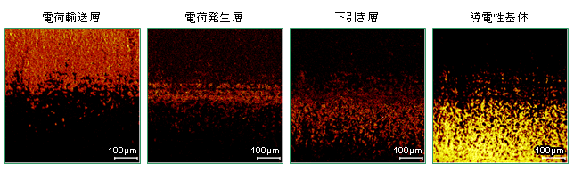 図3:有機感光体の傾斜切削面の二次イオン像