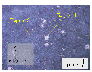 図1:PbTiO<sub>3</sub>結晶膜の光学顕微鏡像