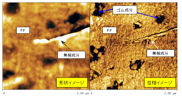 図2:位相イメージング