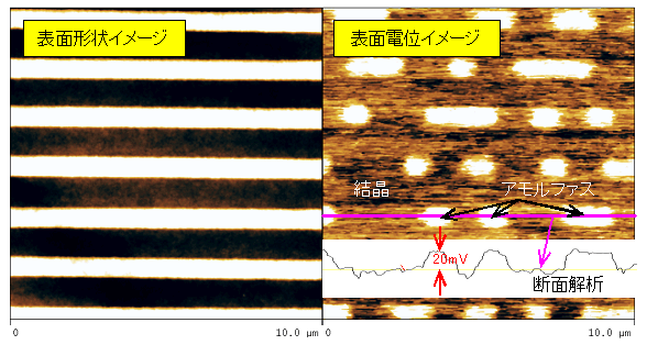 図5:表面電位顕微鏡