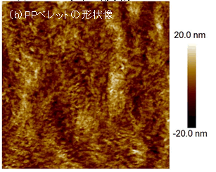ibjs[NtH[X^bsO[h