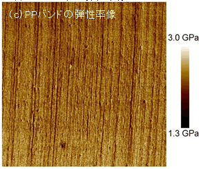 icjPPoh̒e