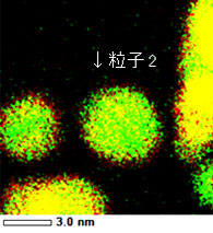 図2:PtRu触媒粒子のEDSマッピングおよびEDSマッピングより求めた触媒粒子の組成