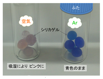 図3:試料の概観