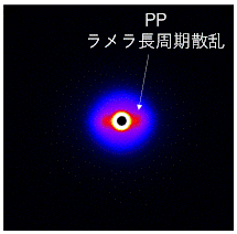 PPU