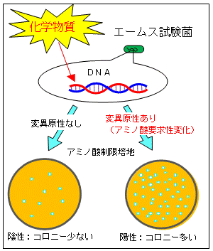図:試験イメージ