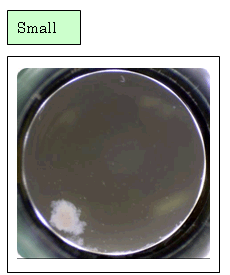 Small