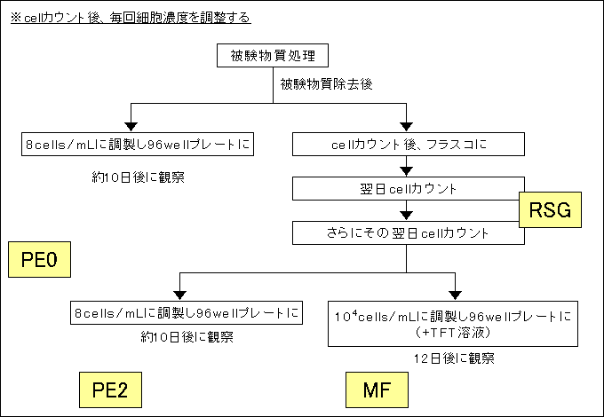 図:マウスリンフォーマTK試験のフローチャート