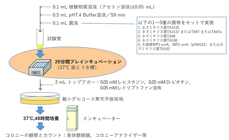 エームス試験の手順