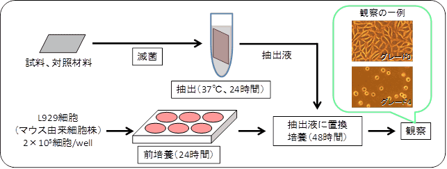 図1:Elution Testの試験手順概要