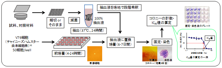 図1:コロニー形成阻害試験の試験手順概要