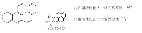 x]s(Benzo[a]pyrene) FɗL@̕sSRĎɔ