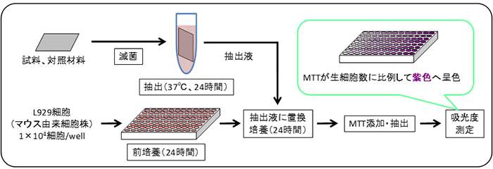 図:MTT法による細胞毒性試験の試験手順概要