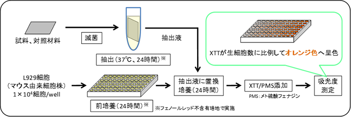 図:XTT法による細胞毒性試験の試験手順概要
