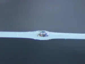 加熱発生ガスの分析装置