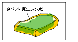 図：食パンに発生したカビ